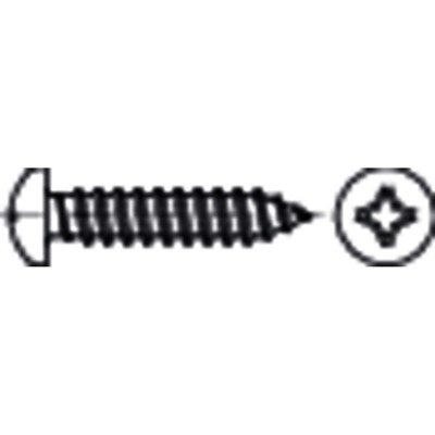 NOBRAND - Linsen-Blechschraube C-H, DIN 7981, galvanisch verzinkt, 3,9 x 19mm
