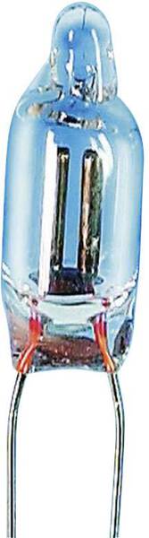 Barthelme 00081013 Glimmlampe 115 V, 230 V 0.25 W Drahtenden Klar 1 St.