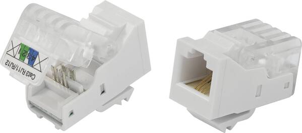 TRU COMPONENTS 93014c937 Modularbuchse, werkzeuglos Buchse, gerade Natur 1 St.