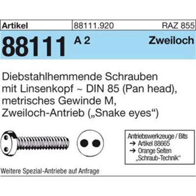 NOBRAND - Schraube R 88111 diebstahlhemmend DIN 85, A2, M6 x12 Zweiloch-Linsenkopf